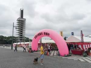 全国陶器市 @ 中央広場