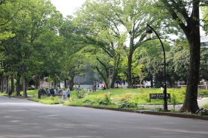 花壇ボランティア @ 苗圃前（駒沢大学駅方面（最寄り）