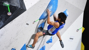スポーツクライミング @ 体育館